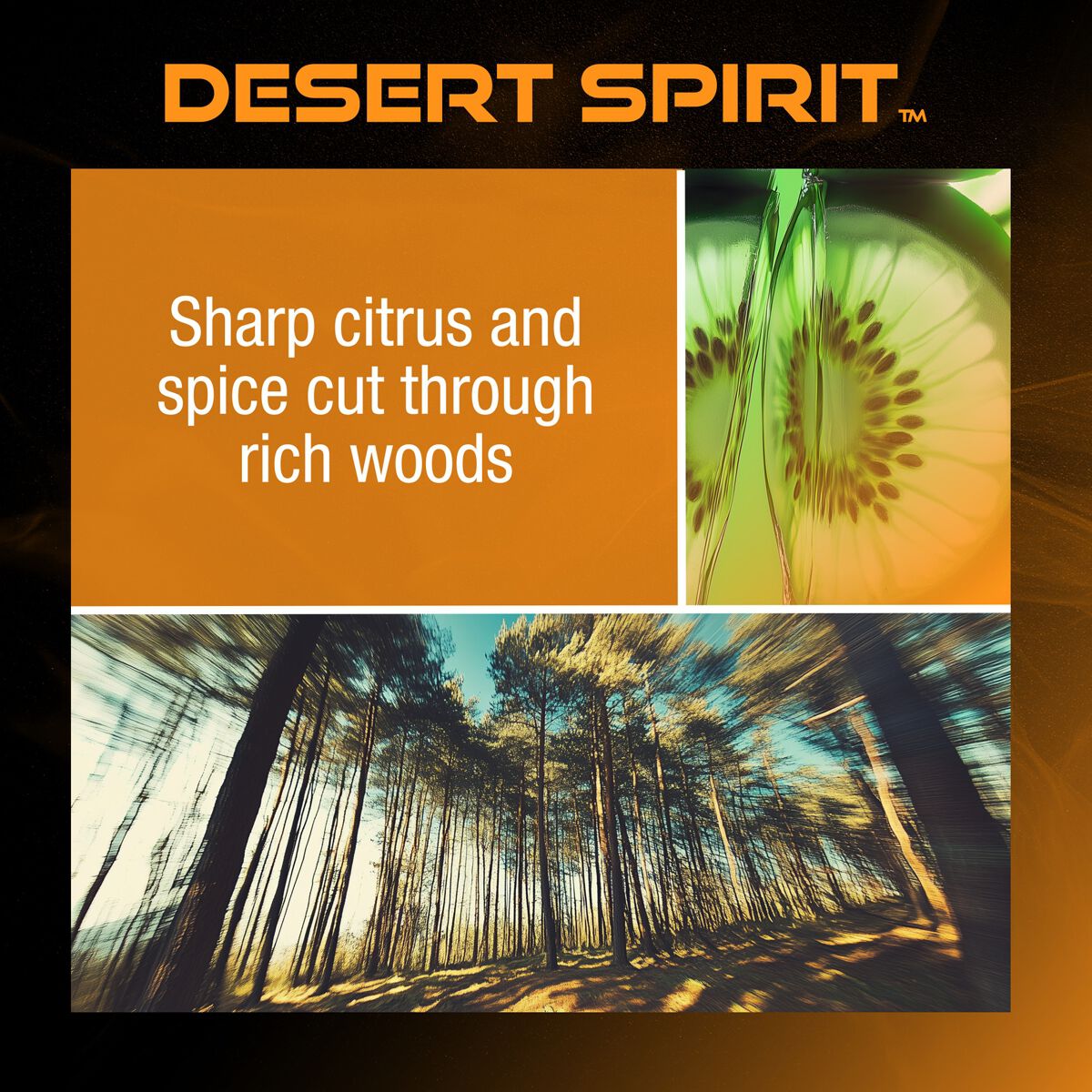 DRVN Desert Spirit Hanging Disc Air Freshener - 1 Pack, , scanz_hi-res