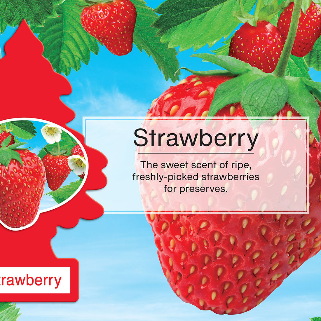 Little Trees Air Freshener - Strawberry 3 Pack, , scanz_hi-res