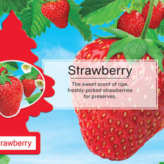 Little Trees Air Freshener - Strawberry 3 Pack, , scanz_hi-res