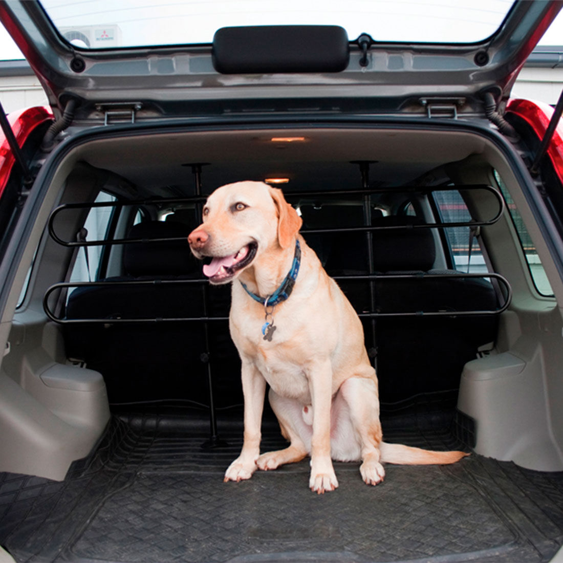 Tailgate barrier for dogs outlet