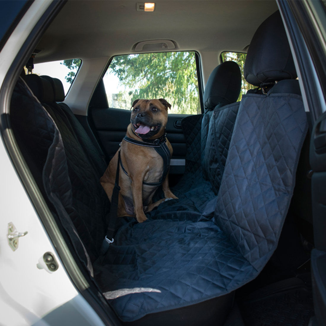 Pet car clearance seat protector nz