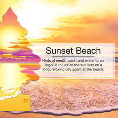 Little Trees Air Freshener - Sunset Beach 1 Pack, , scanz_hi-res
