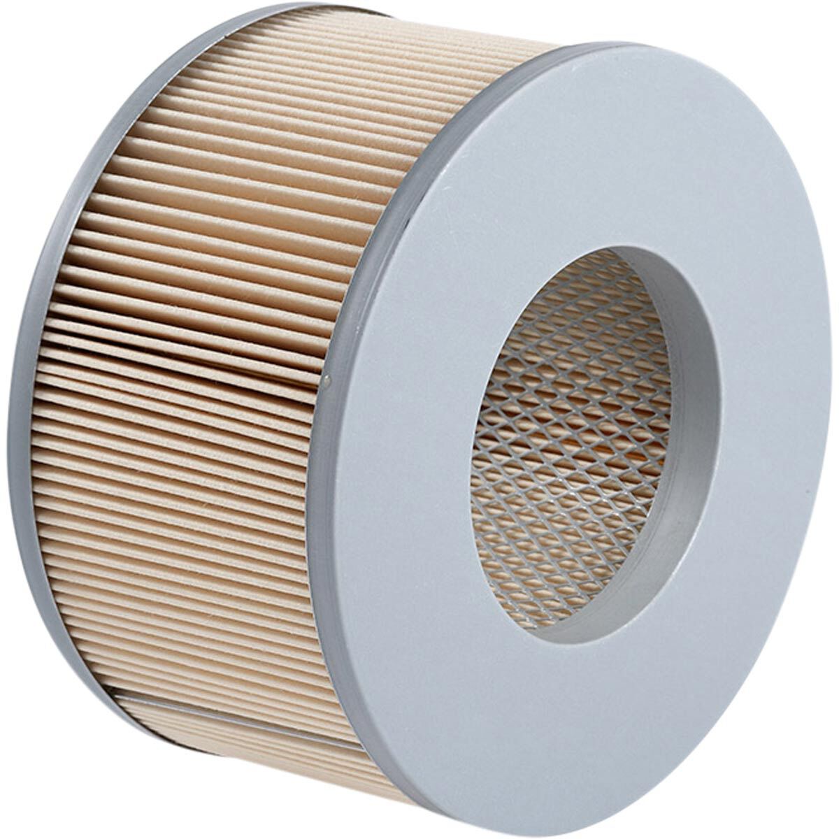 Ryco Air Filter - A1438, , scanz_hi-res