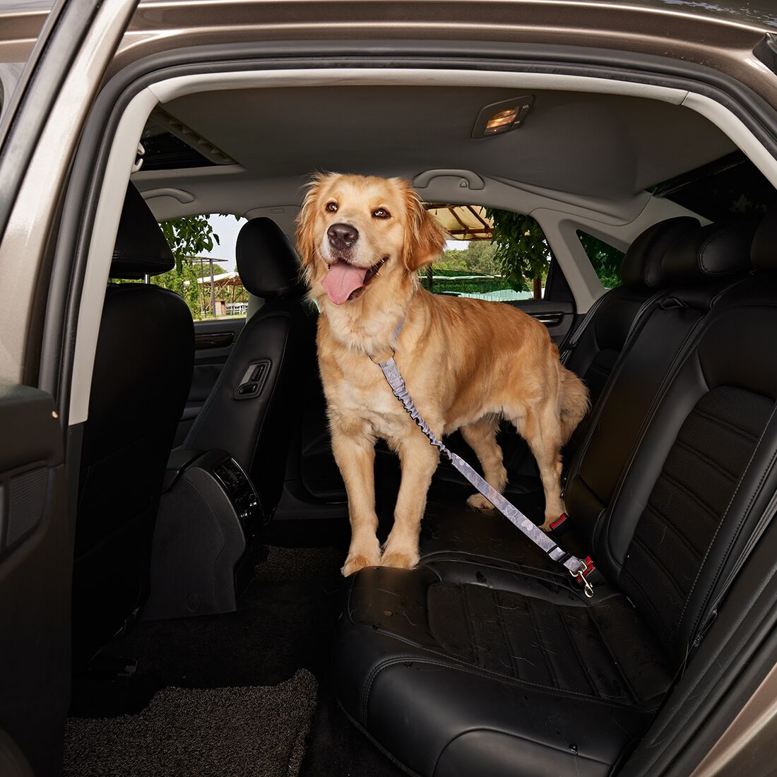 Cabin Crew Paw Print Headrest Lead Clip, , scanz_hi-res