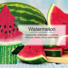 Little Trees Air Freshener - Watermelon 1 Pack, , scanz_hi-res