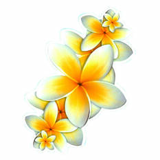 Sticker Frangipani, Vinyl, , scanz_hi-res