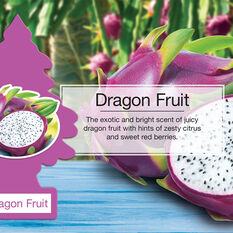 Little Trees Air Freshener - Dragonfruit 1 Pack, , scanz_hi-res