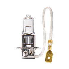 Enduralight Headlight Globe - H3, 12V 100W, ENDH1015, , scanz_hi-res