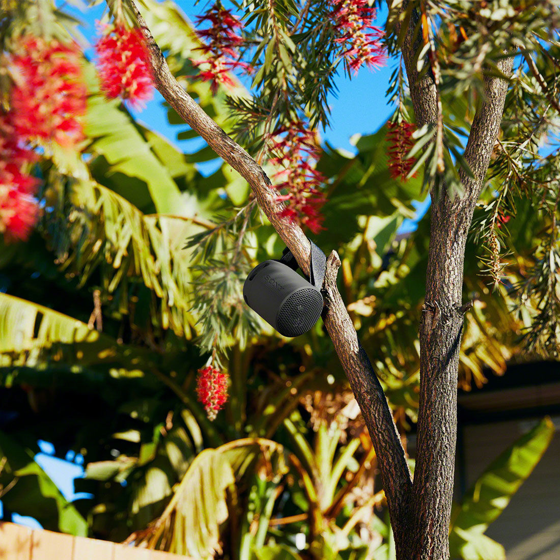 Sony Compact Bluetooth Speaker Black SRSXB100B, , scanz_hi-res