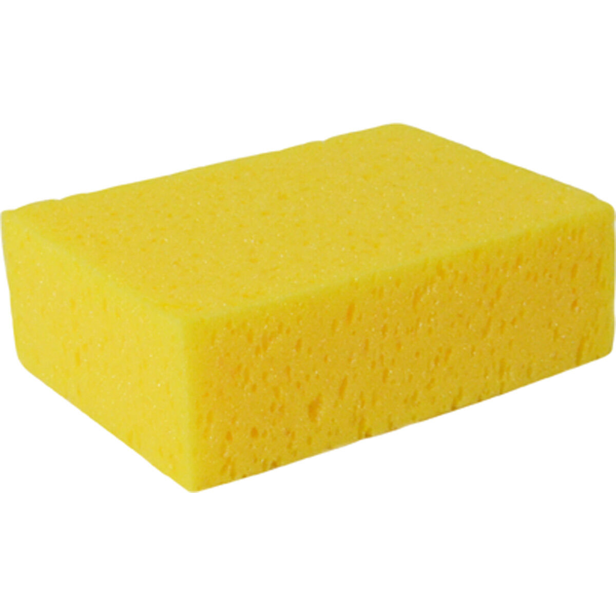SCA Large Wash Sponge, , scanz_hi-res