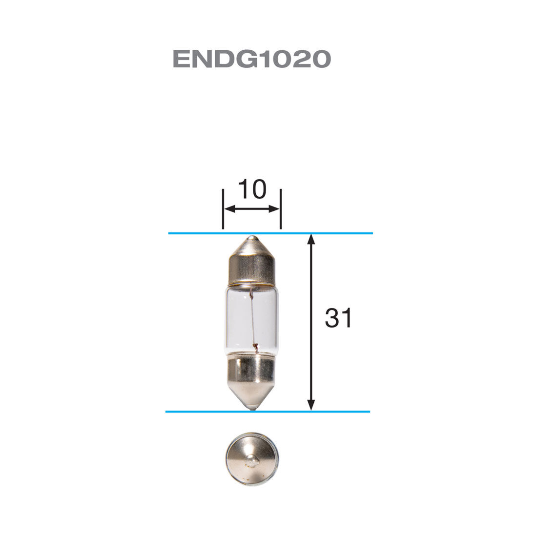 ENDURALIGHT Automotive Globes - Festoon 12V, 10W 10X31mm, , scanz_hi-res
