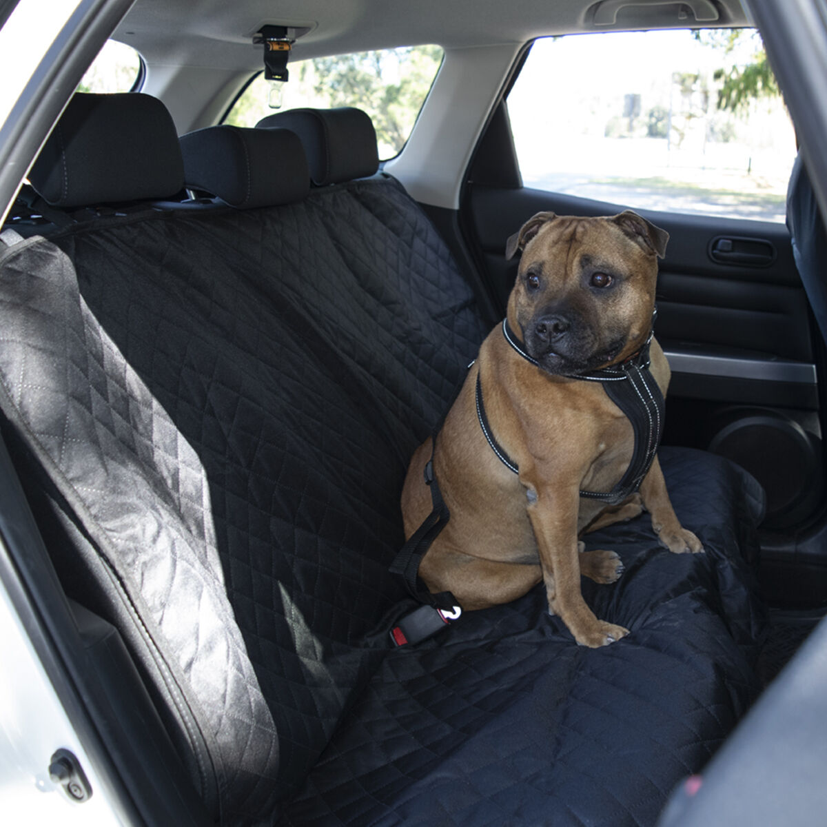 Turtle wax on sale dog seat cover