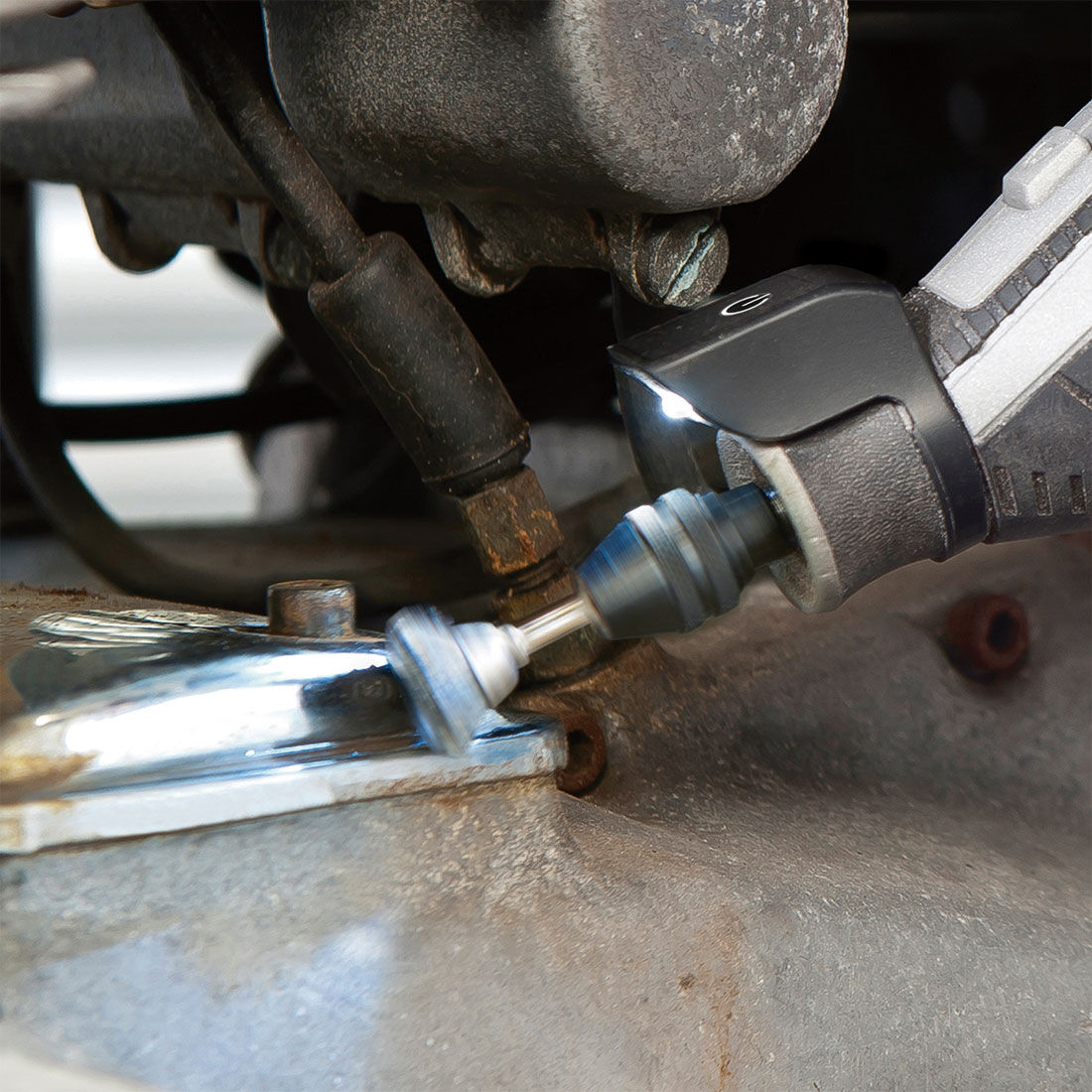 Dremel 2pk Carbon Steel 3.2mm Shank 13mm Dia Brush, , scanz_hi-res