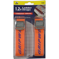 Gripwell Ladder Strap - 1.2m, 113kg, 2 Pack, , scanz_hi-res