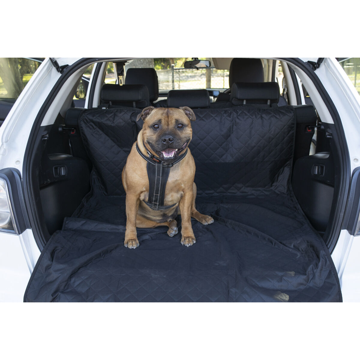 Dog boot liner clearance nz