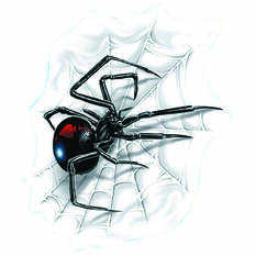 Sticker Spider with Web, Vinyl, , scanz_hi-res