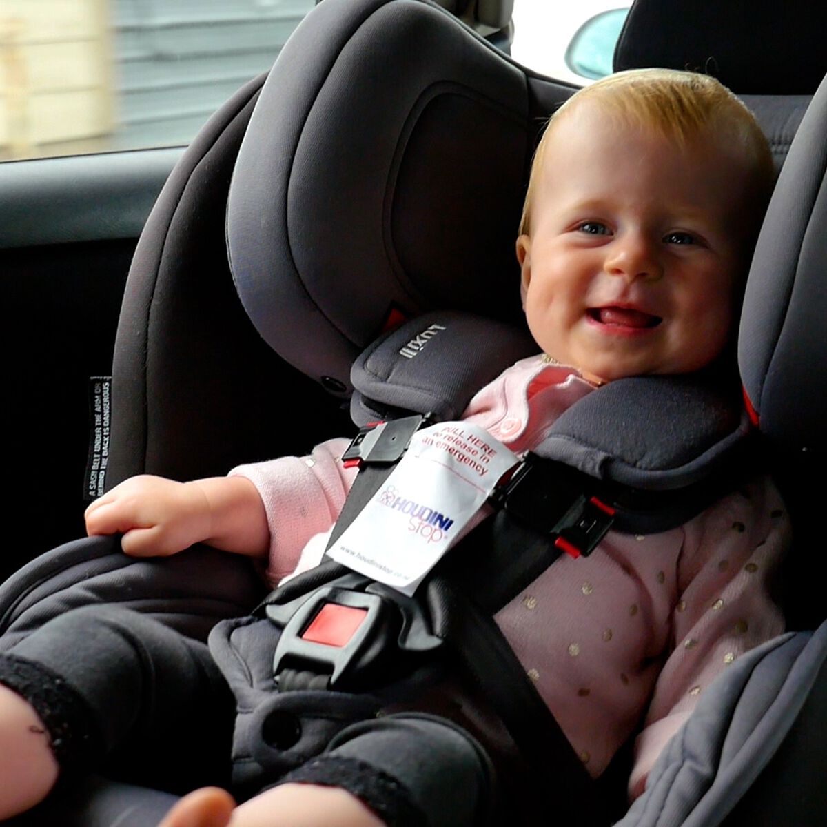 Houdini Stop Chest Strap Twin Pack, , scanz_hi-res