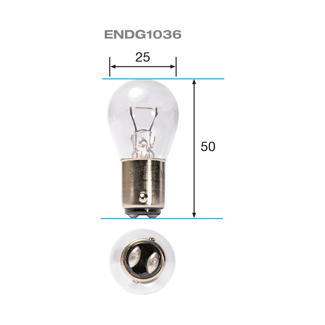 ENDURALIGHT Automotive Globes - Indicator 12V, 21W, BA15D, , scanz_hi-res