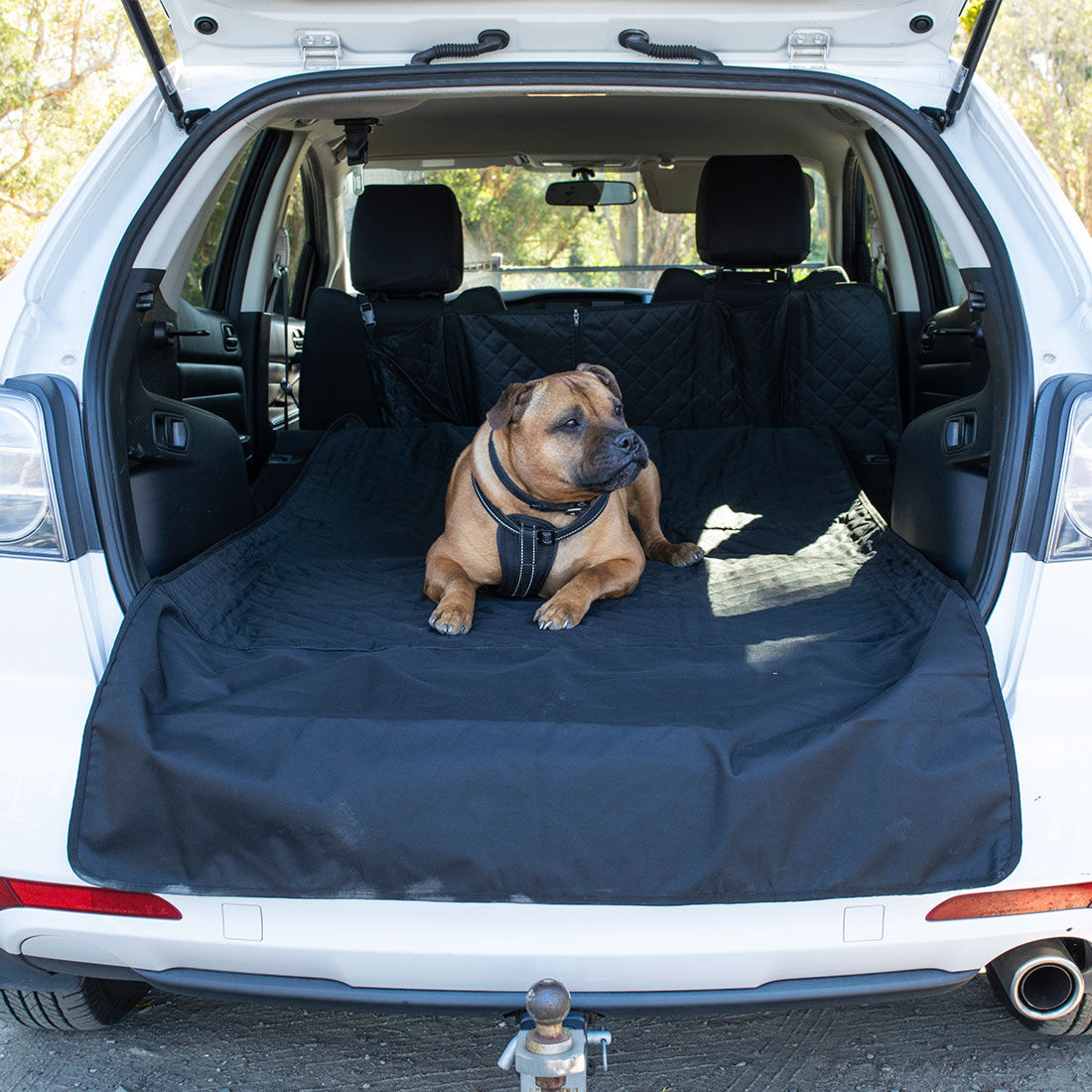 Dog boot liner nz Clearance