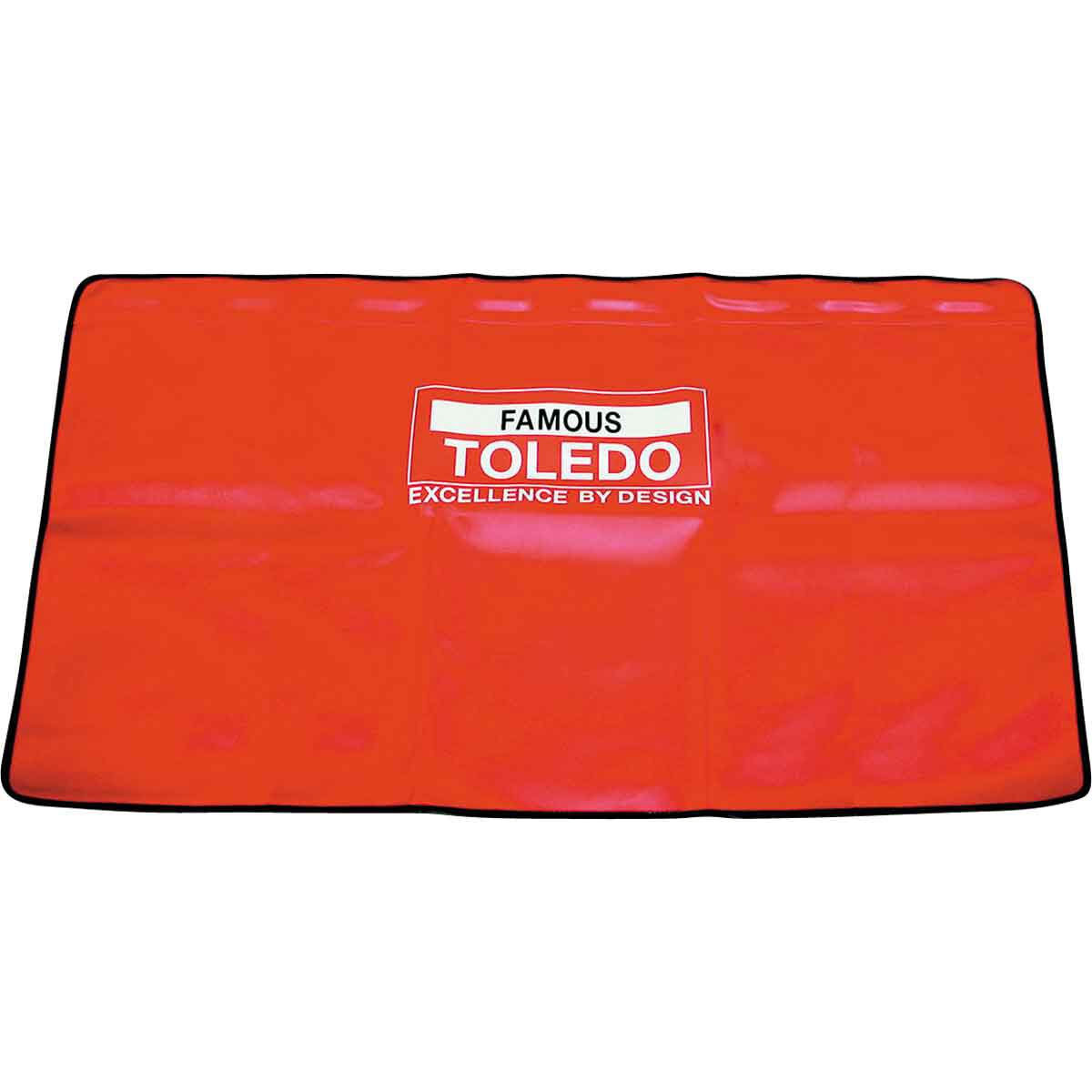 Toledo Magnetic Guard Mask, , scanz_hi-res