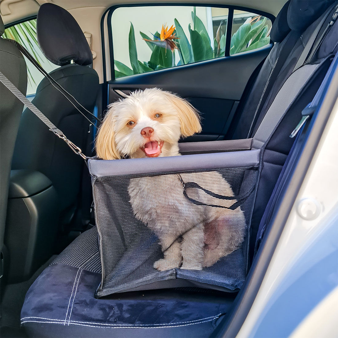 Cabin Crew Pet Seat Holder - Charcoal/Black, , scanz_hi-res