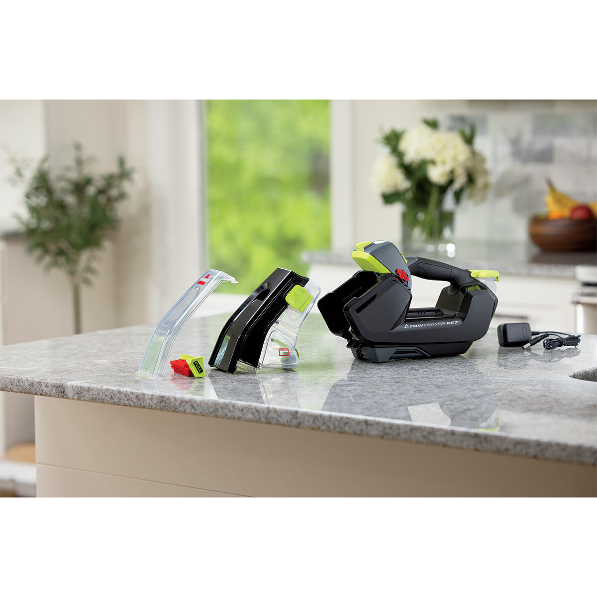 Pet stain deals eraser bissell