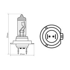 SCA Headlight Globe - H7 12V 55W, , scanz_hi-res