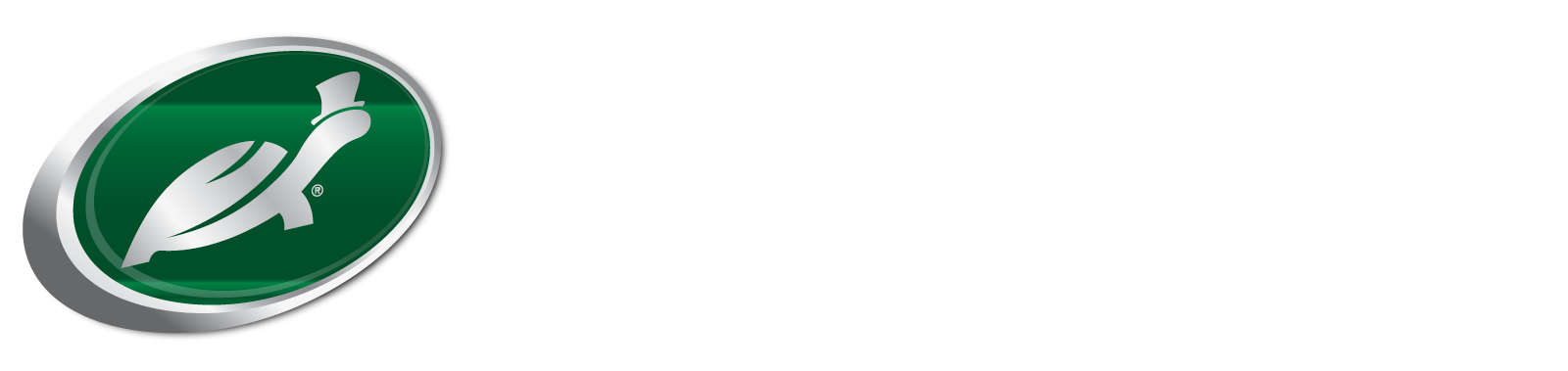 Turtle Wax