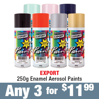 Export 250g Enamel Aerosol Paints